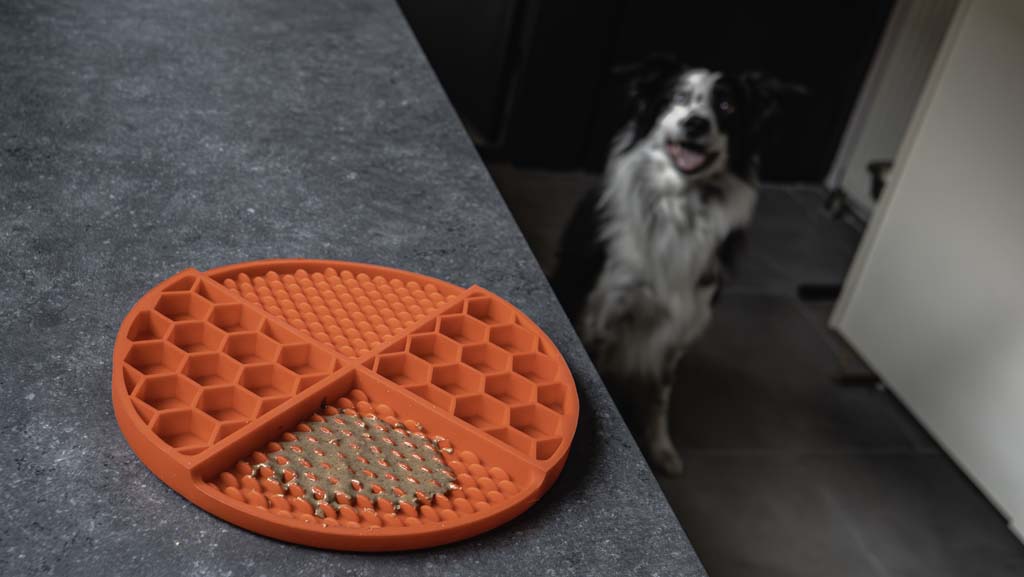 Eat Slow Live Longer Lick Mat Dimensions Circle Rood - Afbeelding 6