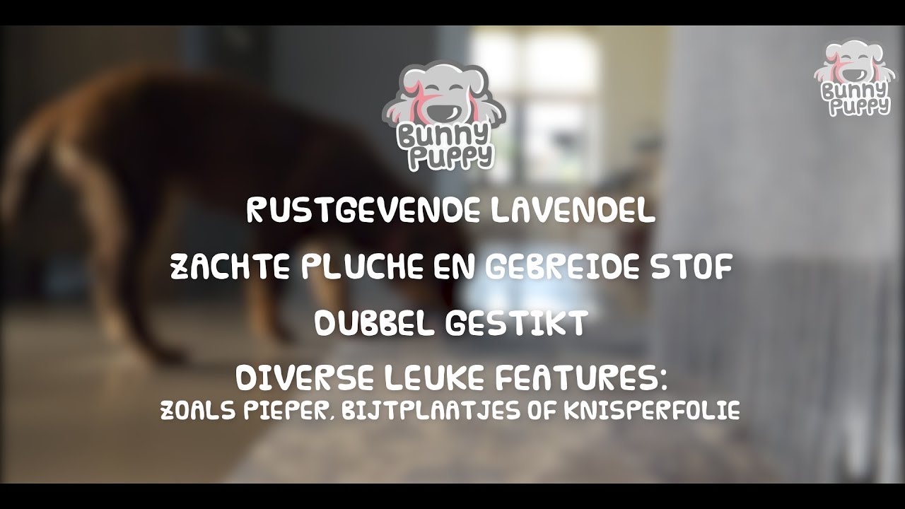 Bunny Puppy Ropey Ball - Afbeelding 2