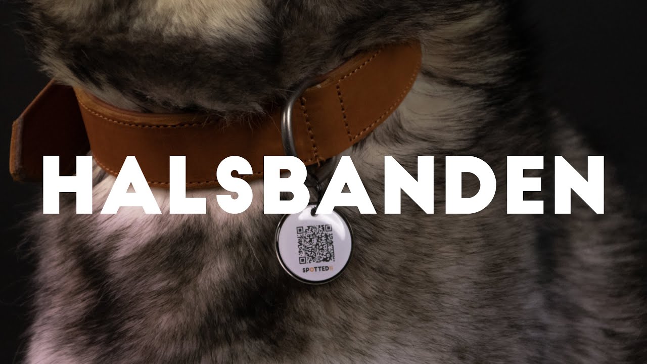 Spotted! Pro Leren Halsband Grijs 3 x 65 cm - Afbeelding 2