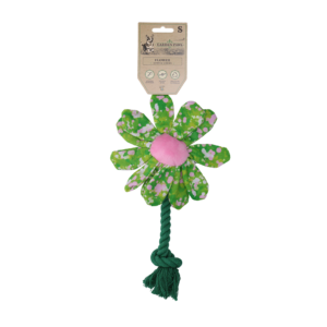 Garden Paws Flower Summer Shrubs S