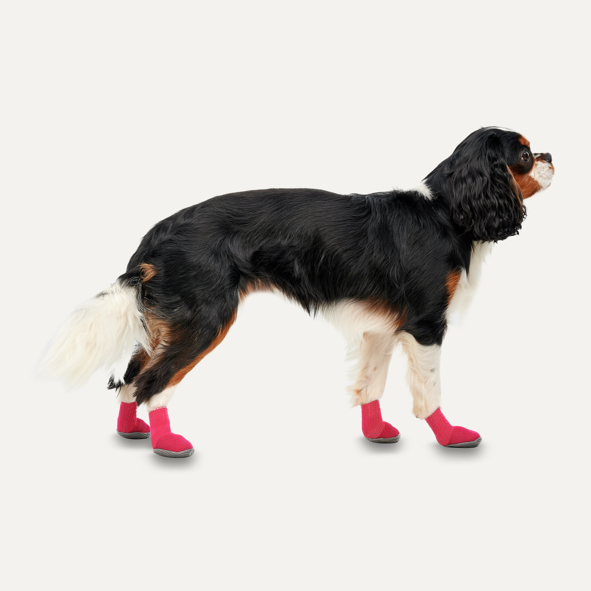 Goo-eez Dog Boots Ultras 2 Per Pack XL Rood/Zwart - Afbeelding 2