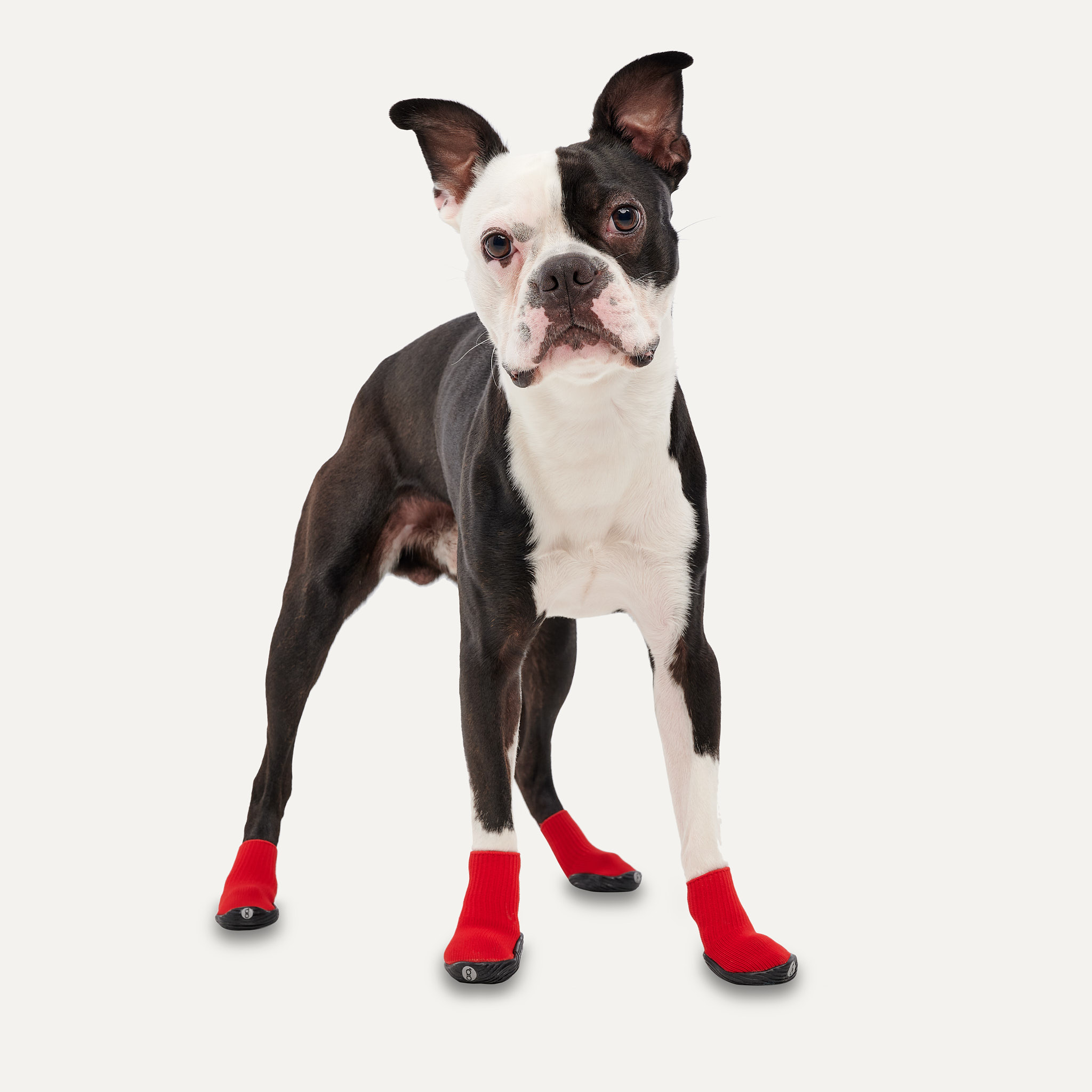 Goo-eez Dog Boots Ultras 2 Per Pack XL Rood/Zwart - Afbeelding 3