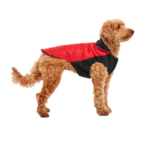 Goo-eez Mock Neck Signature Wrap Jacket XL Rood/Zwart