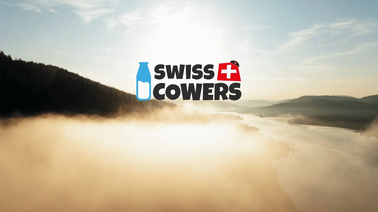 SwissCowers Cheese Chips - Afbeelding 5