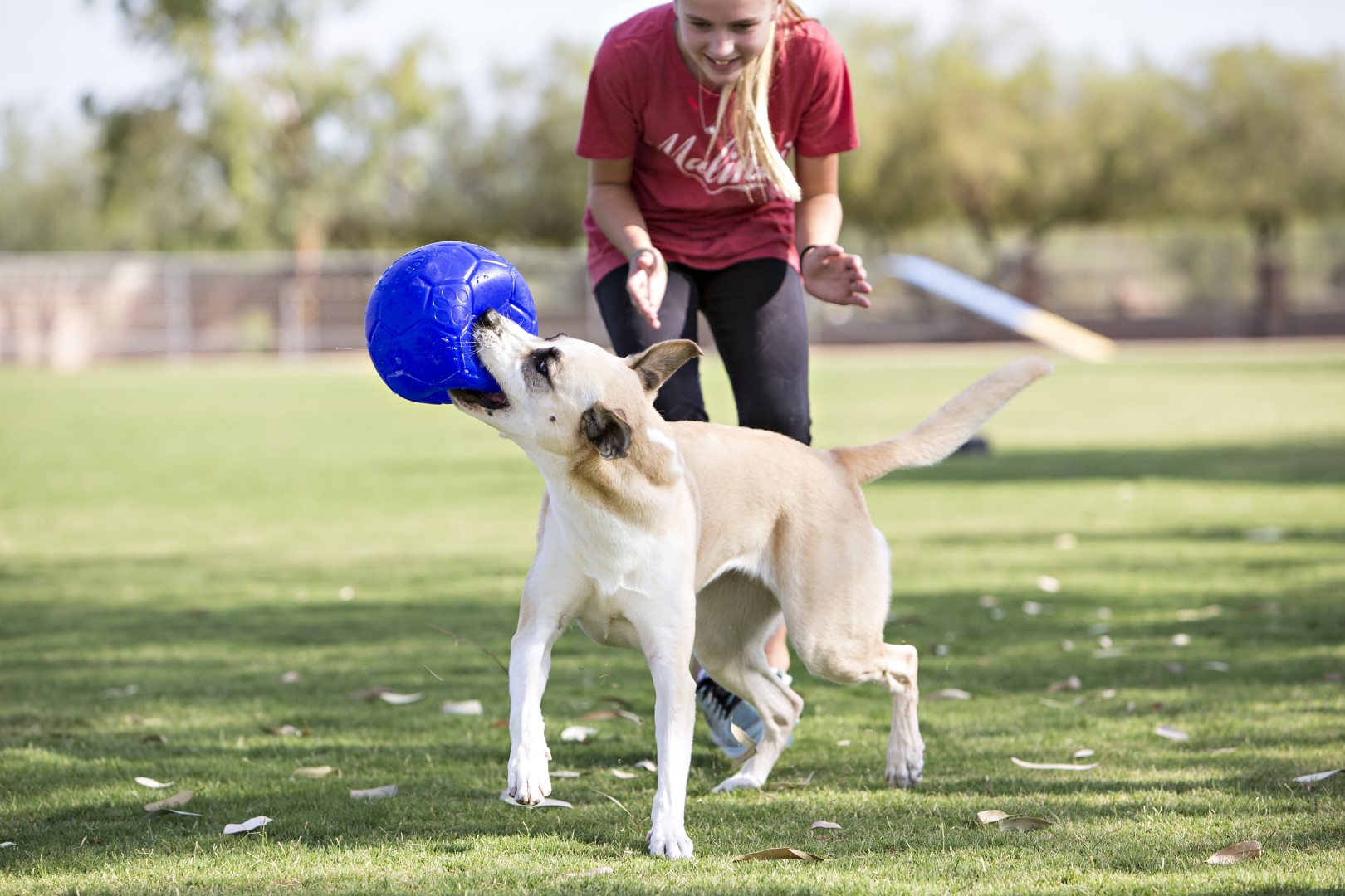 Jolly Soccer Ball Lichtblauw S (15 cm) - Afbeelding 5