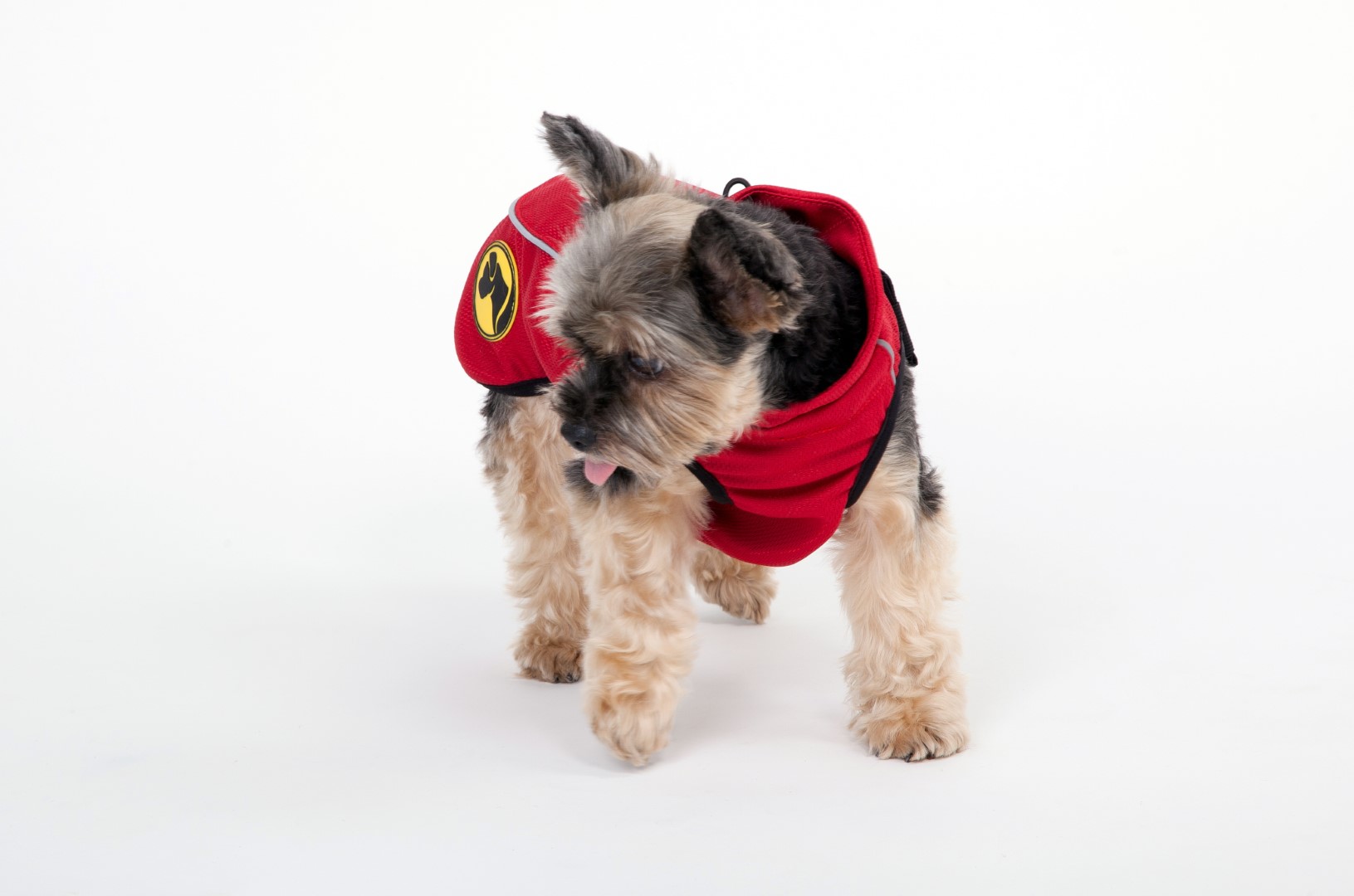 Dog Armor Knockdown Coat (Insect Shield) XXXXS (20cm ruglengte) - Afbeelding 6