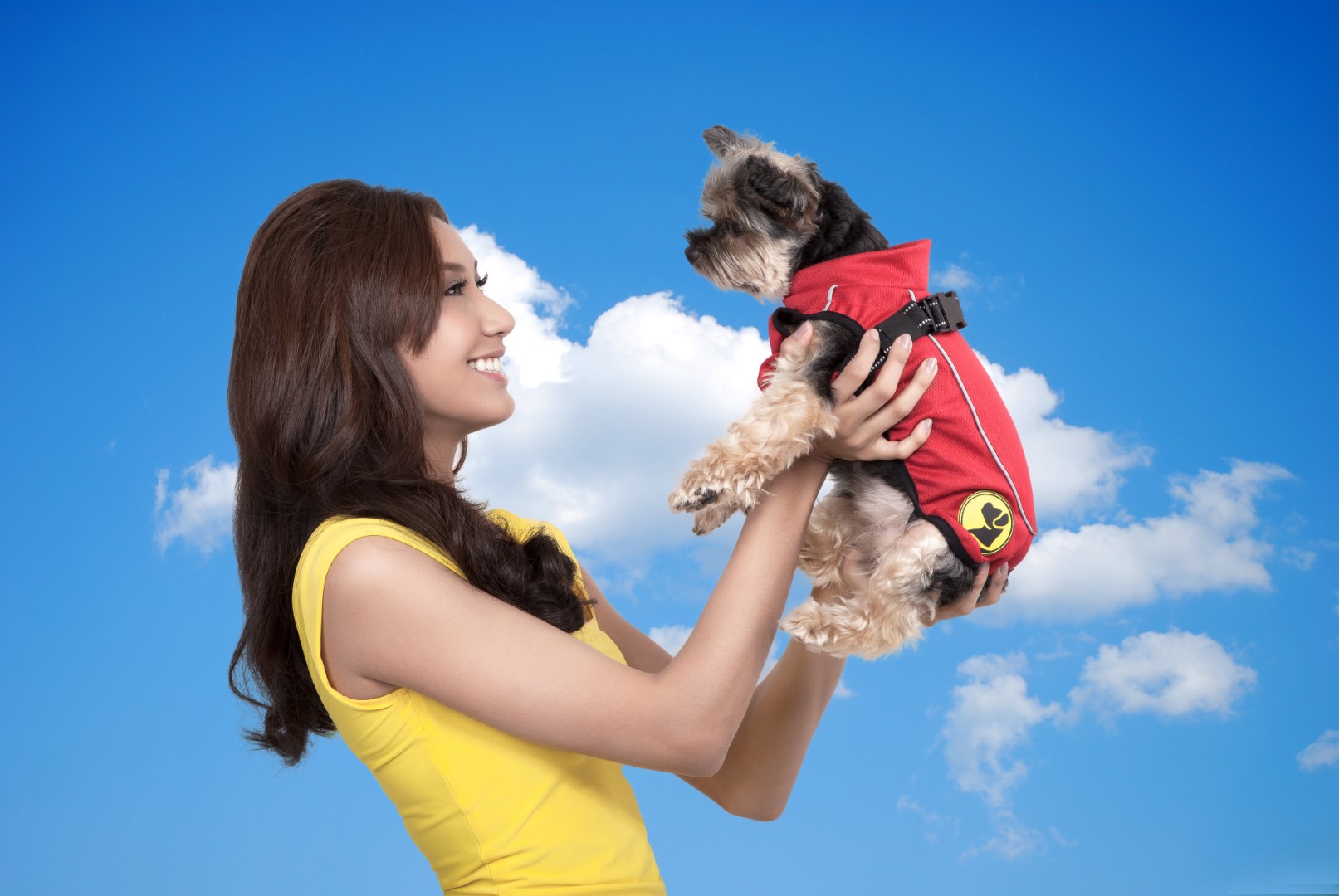 Dog Armor Knockdown Coat (Insect Shield) XXXXS (20cm ruglengte) - Afbeelding 5