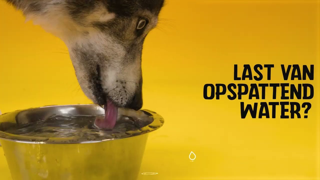 Excellent Pets No-Spill Bowl 800ml Groen M - Afbeelding 4