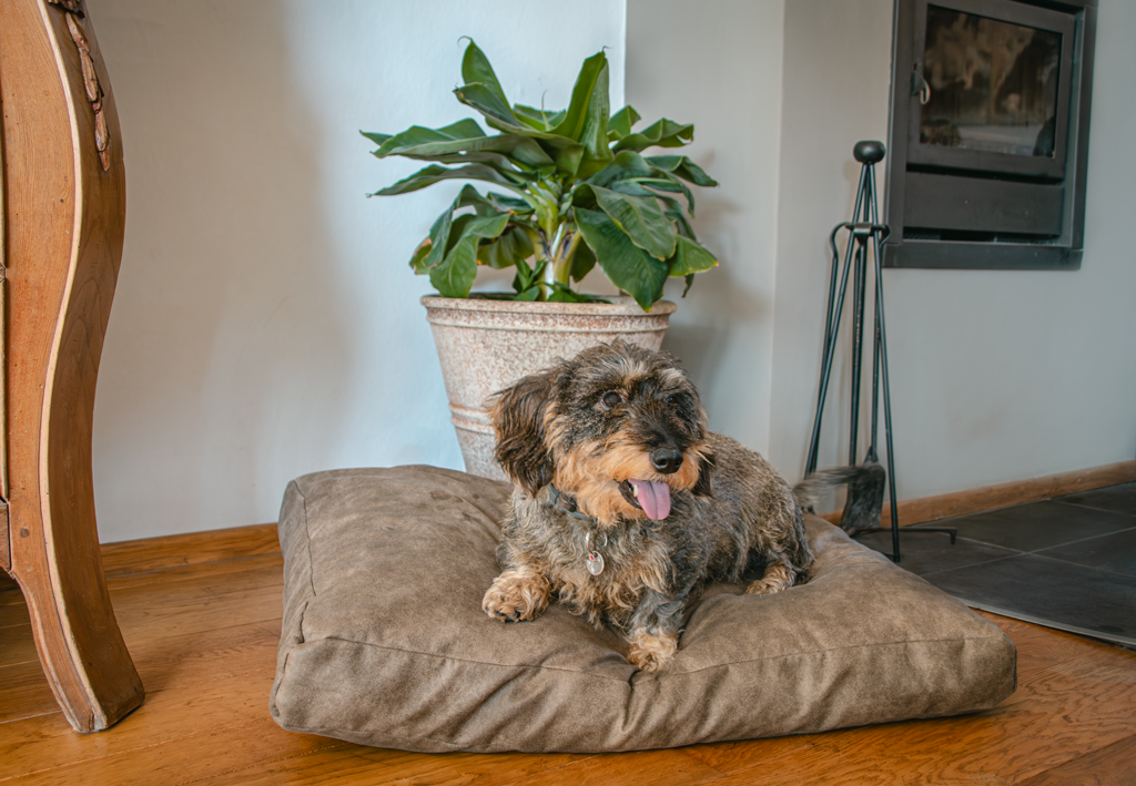 Let's Sleep Plush Pillow Hondenkussen M Cognac - Afbeelding 3