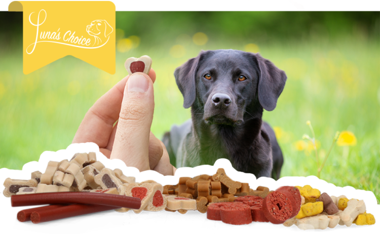 Luna's Choice Trainer Mix Hartjes (klein) - Afbeelding 2