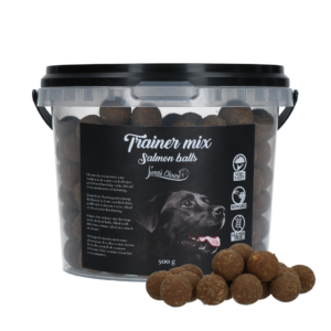 Luna's Choice Trainer Mix Zalm Balletjes (glutenvrij)