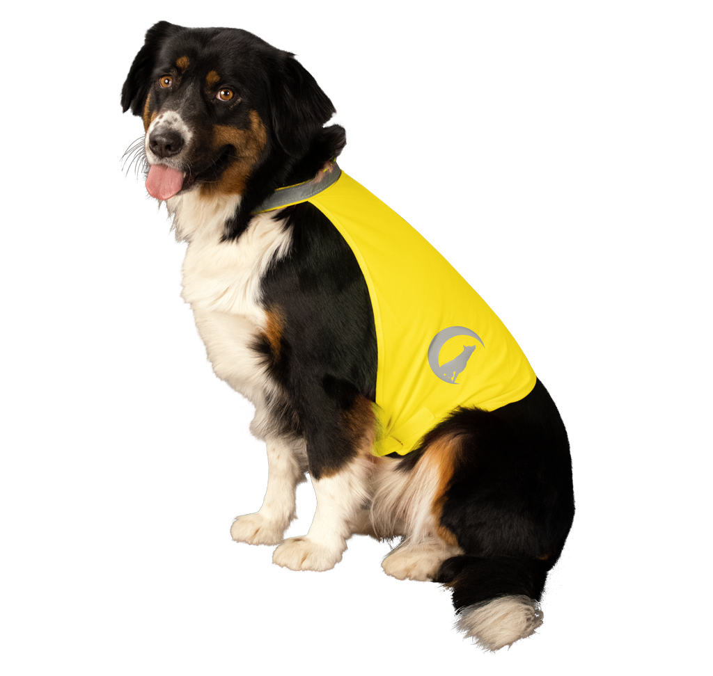 Nightwalk Safety Vest Geel L - Afbeelding 3