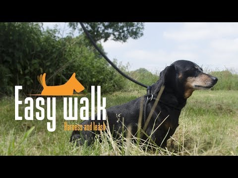 Easy Walk Handmodel Rood - Afbeelding 4