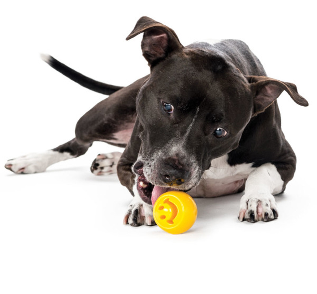 Outward Hound Orbee-Tuff Nooks Geel - Afbeelding 2