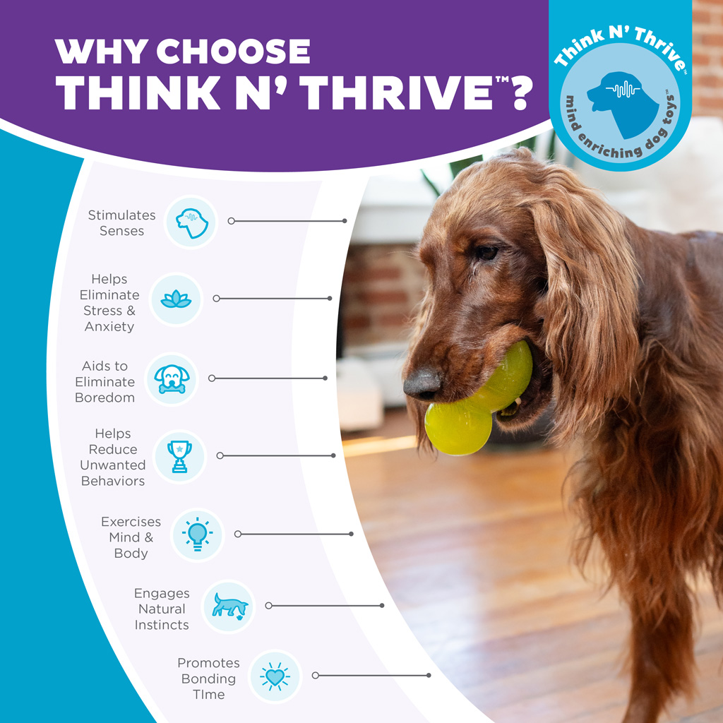Outward Hound Double-Tuff L Groen - Afbeelding 4