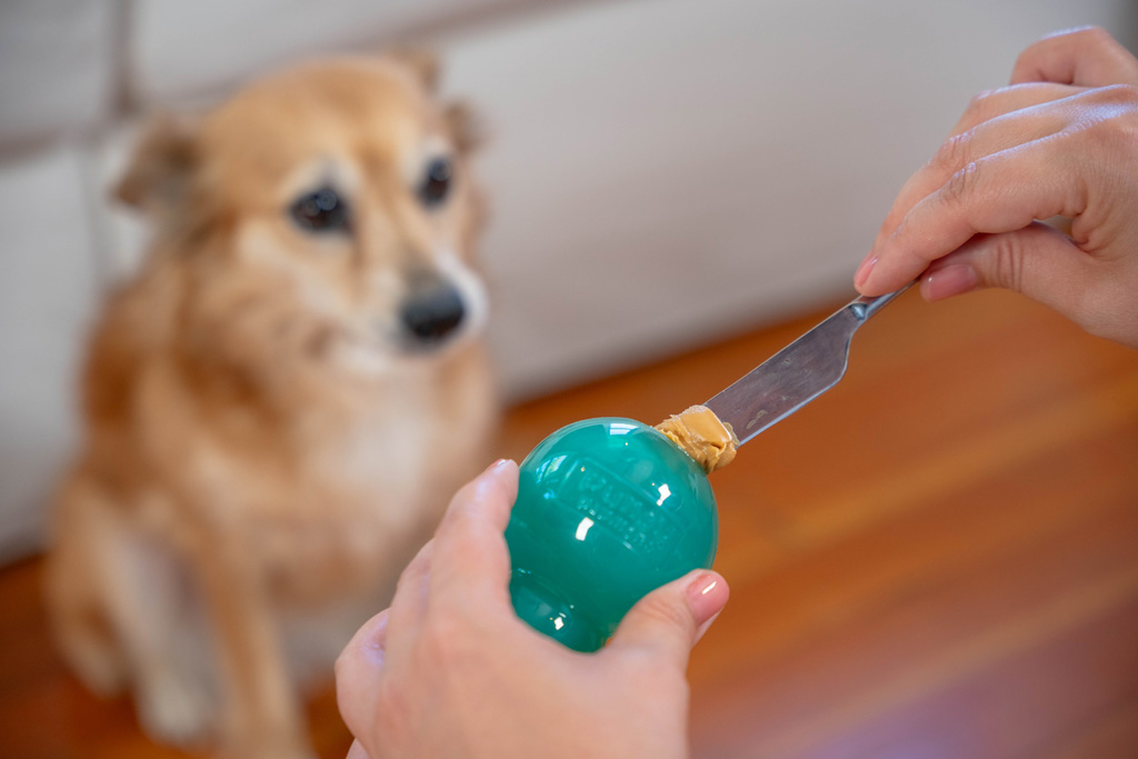 Outward Hound Double-Tuff M Blauw - Afbeelding 5