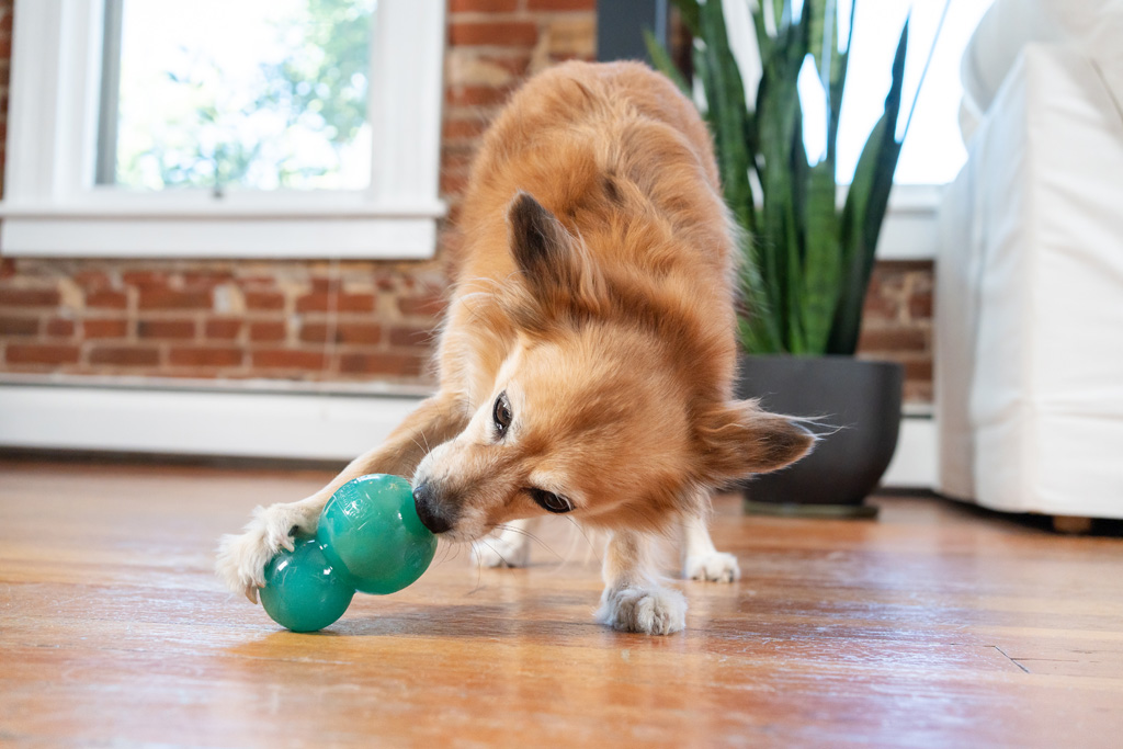 Outward Hound Double-Tuff M Blauw - Afbeelding 6