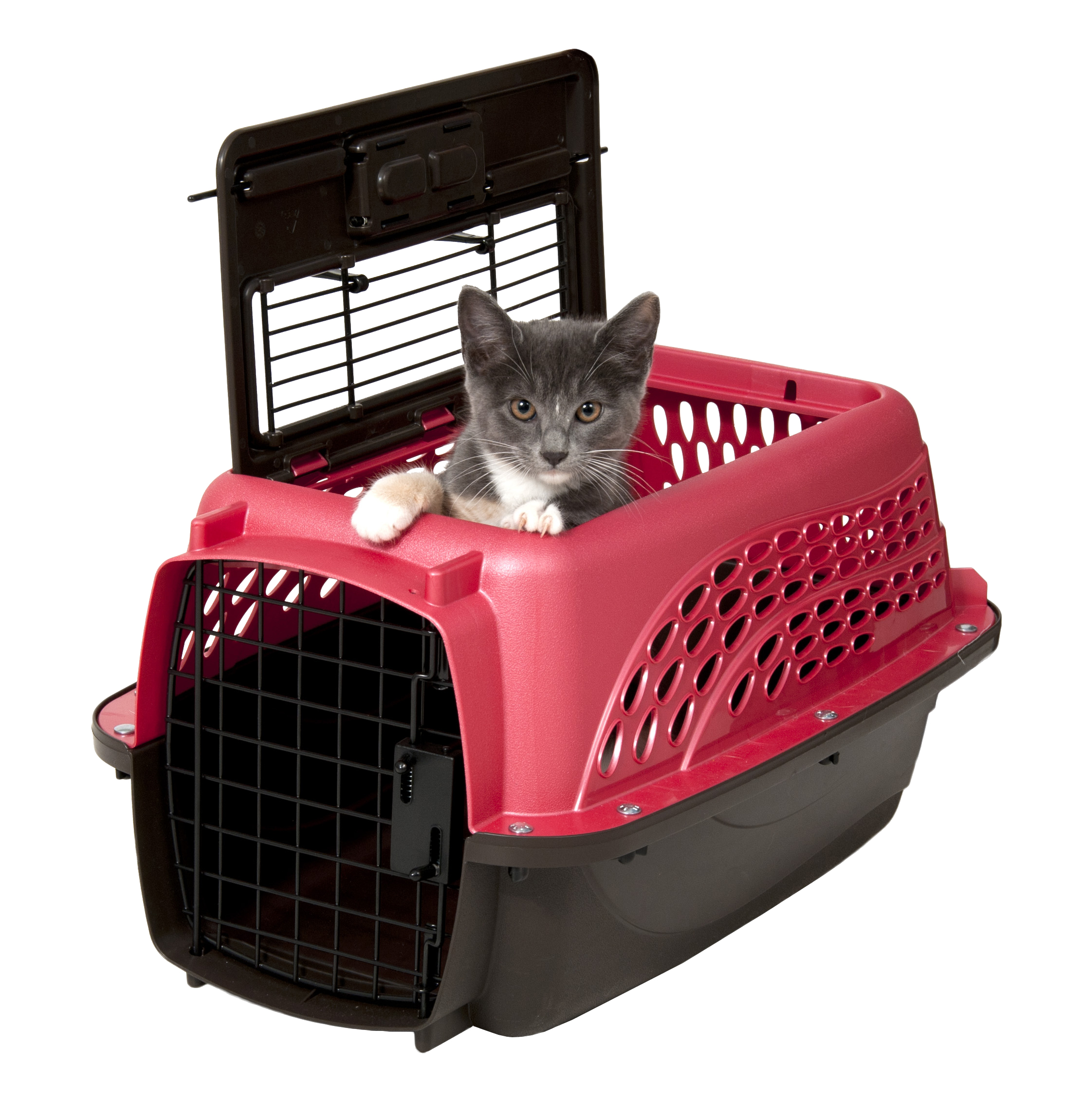 Petmate 2 Door Kennel Roze XS - Afbeelding 3