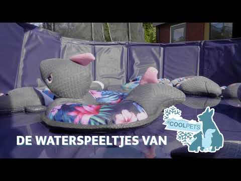 CoolPets Pull Me! Fishy Flower - Afbeelding 4