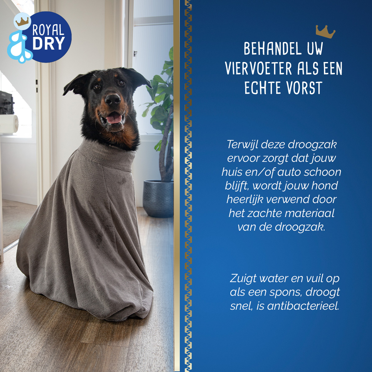 Royal Dry Doggy Bag Droogzak L - Afbeelding 6