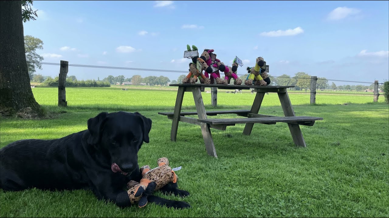 Retrodog Donkey Roze M - Afbeelding 3