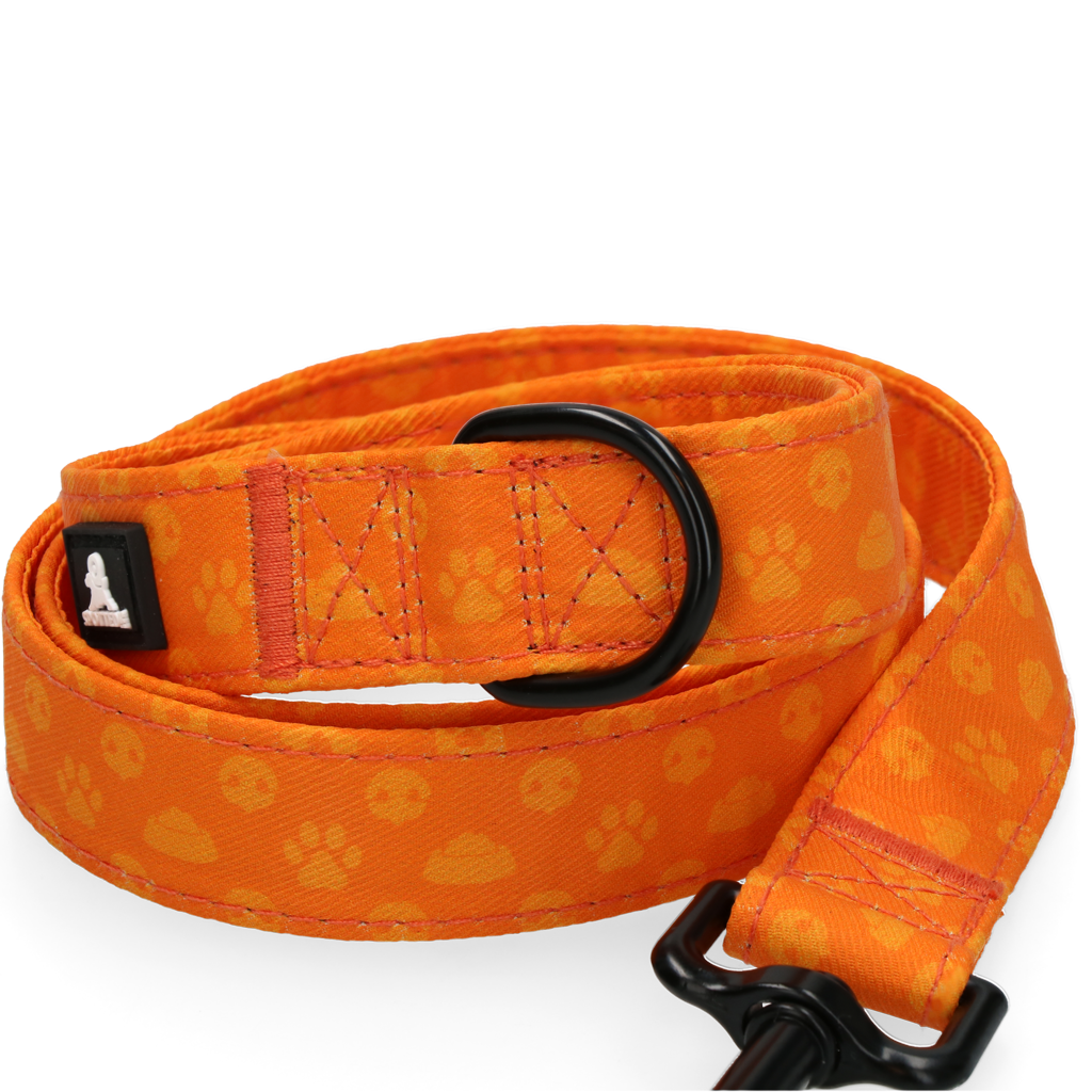 Spotted! Pro Perfect Leash 120 cm Oranje - Afbeelding 3