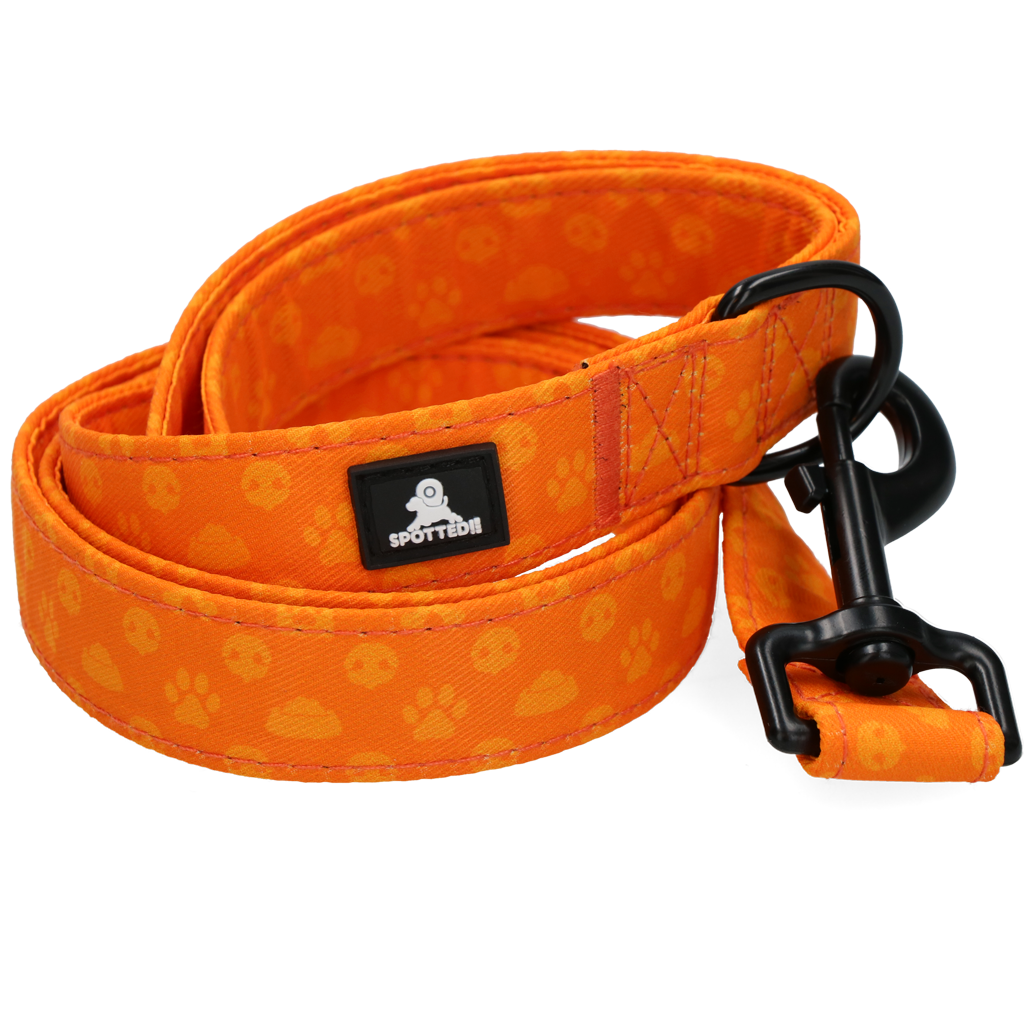 Spotted! Pro Perfect Leash 120 cm Oranje - Afbeelding 4