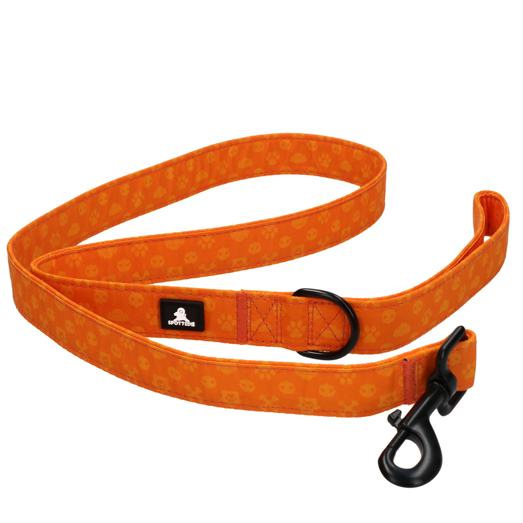 Spotted! Pro Perfect Leash 120 cm Oranje - Afbeelding 5