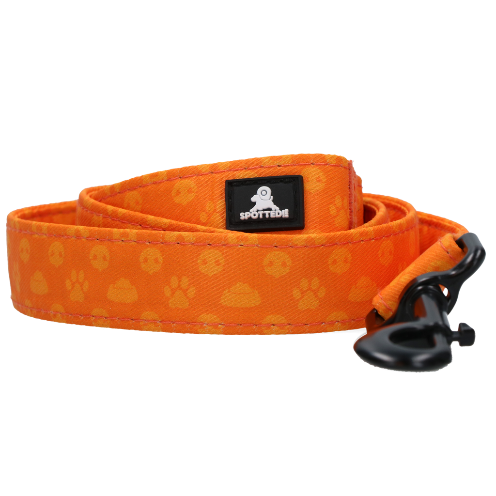 Spotted! Pro Perfect Leash 120 cm Oranje - Afbeelding 2