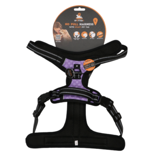 Spotted! Pro No Pull Harnas Paars L