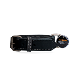 Spotted! Pro Leren Halsband Zwart 2,5 x 50 cm