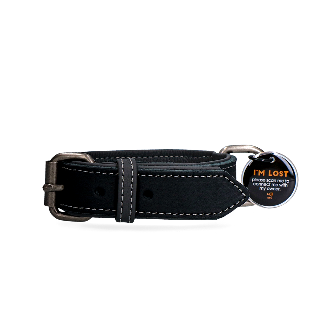 Spotted! Pro Leren Halsband Zwart 2,5 x 50 cm