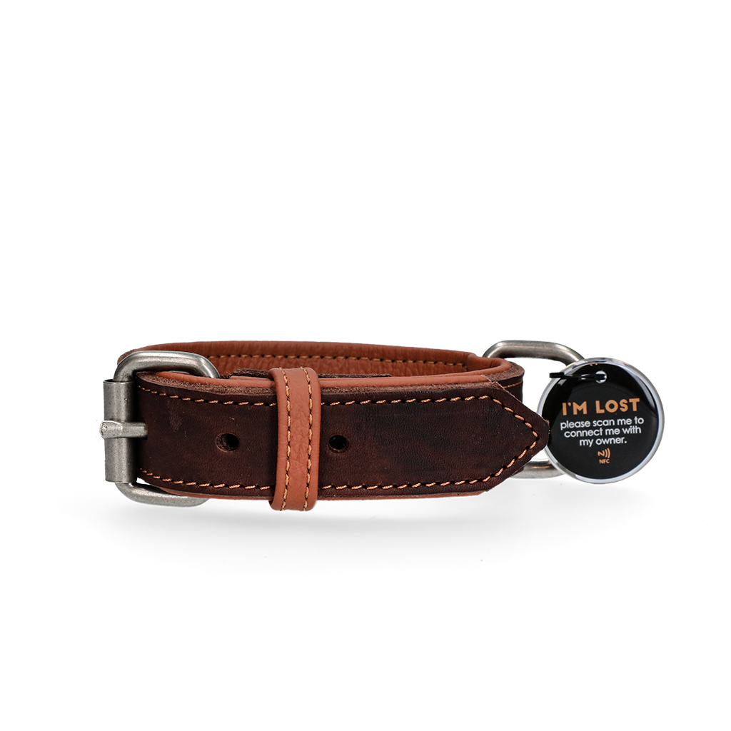 Spotted! Pro Leren Halsband Bruin 3 x 65 cm