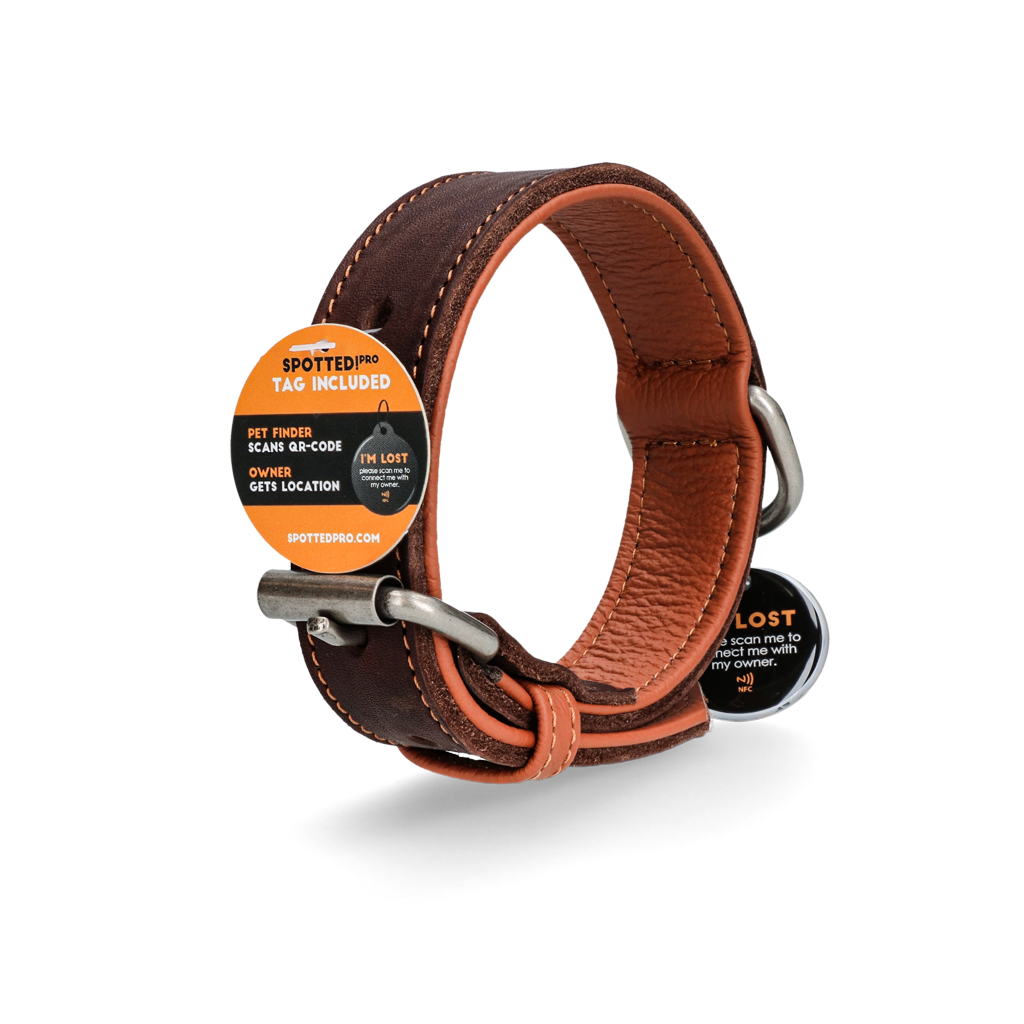 Spotted! Pro Leren Halsband Bruin 2,5 x 50 cm - Afbeelding 4