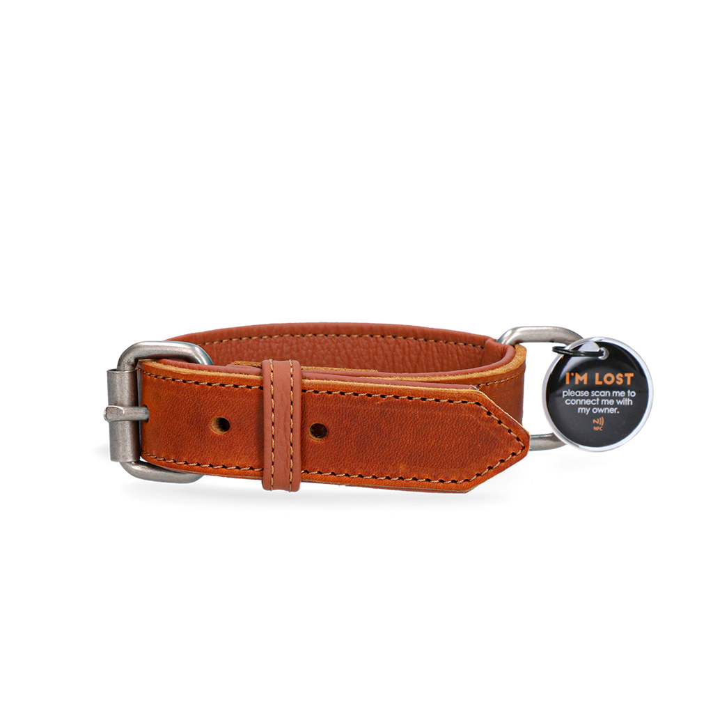 Spotted! Pro Leren Halsband Cognac 3 x 65 cm