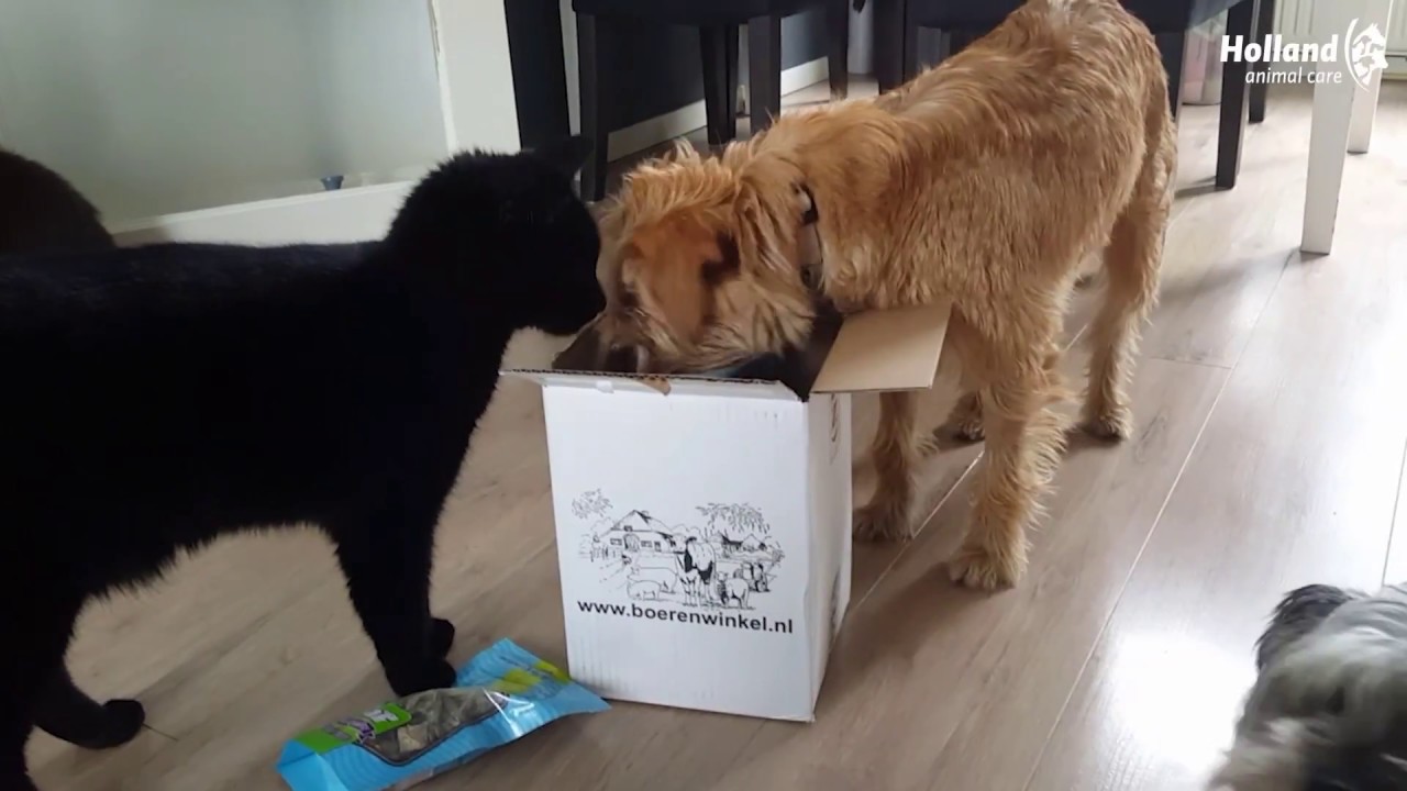 Braaaf Seafood Zalmblokjes - Afbeelding 5