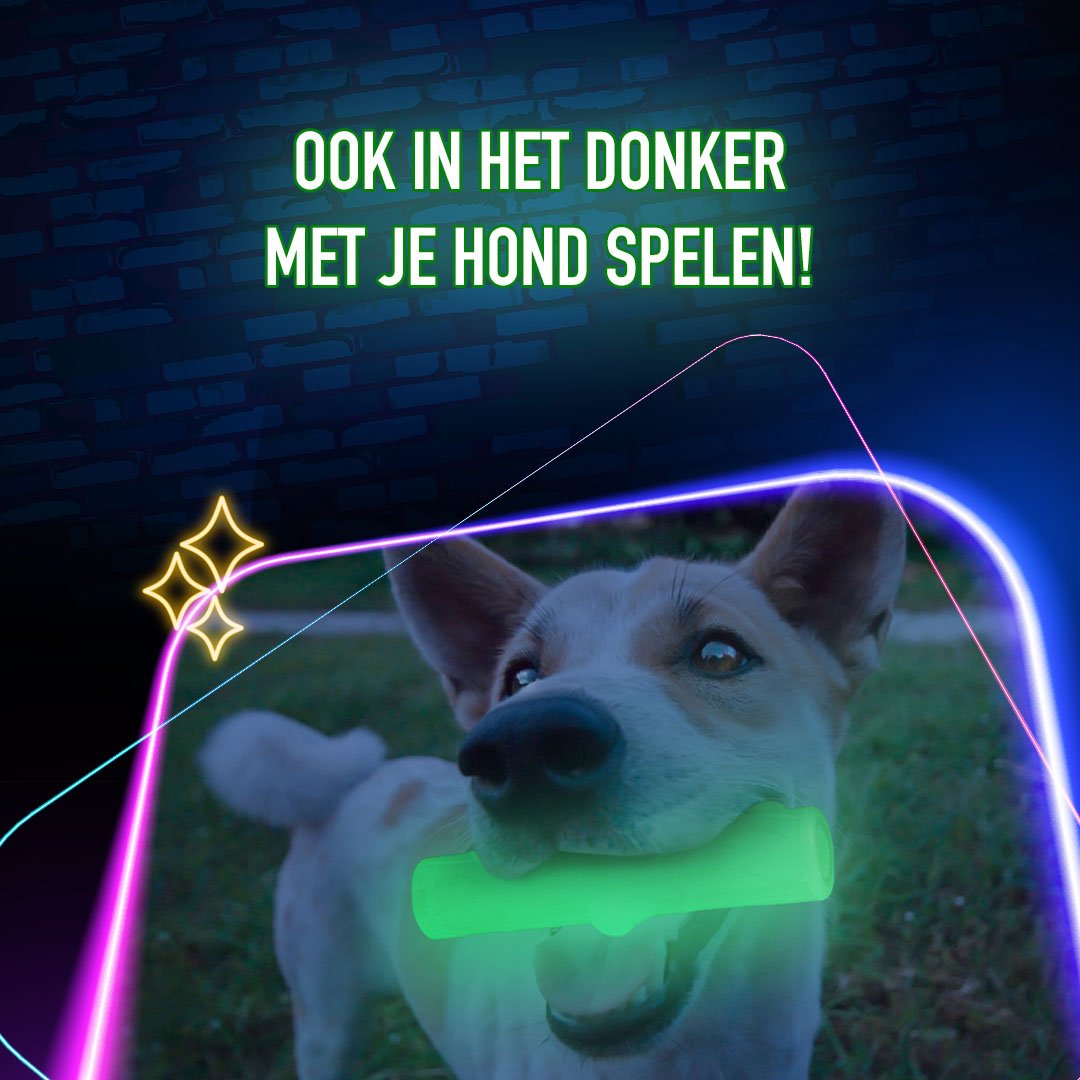 2 Glow Bone of it's Own - Afbeelding 5