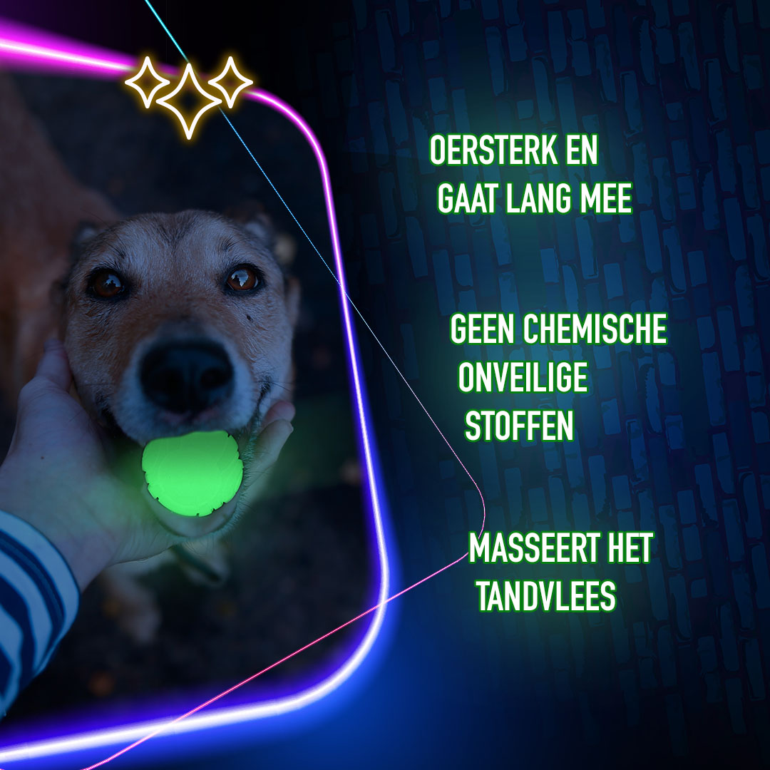 2 Glow Bone of it's Own - Afbeelding 6