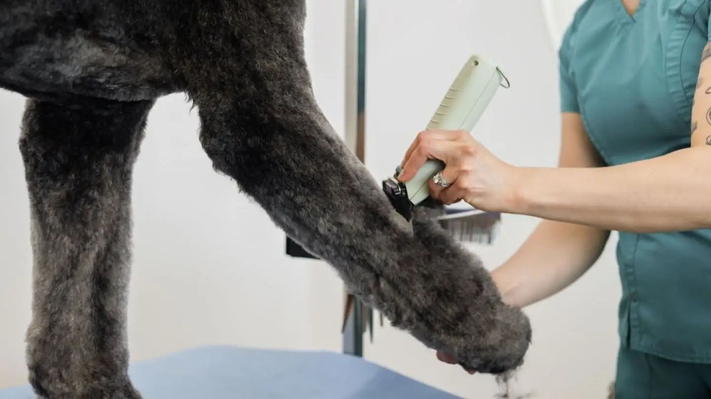 Wahl KMC+ Snoer/Snoerloze Trimmer - Afbeelding 3