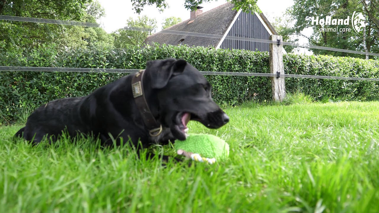 Fuzzle Hedgie Pull Me Groen - Afbeelding 5