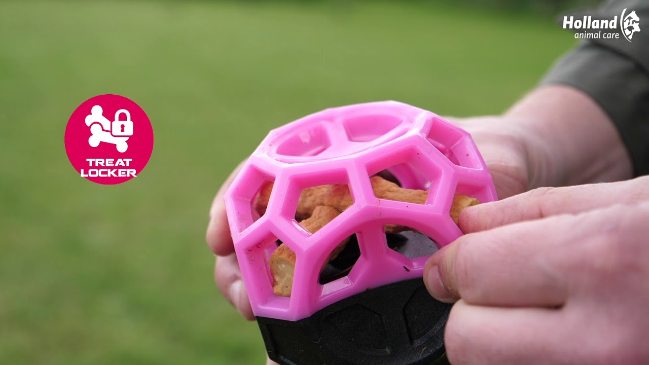 Dog Comets Moonstone Traktatiebal Roze - Afbeelding 4