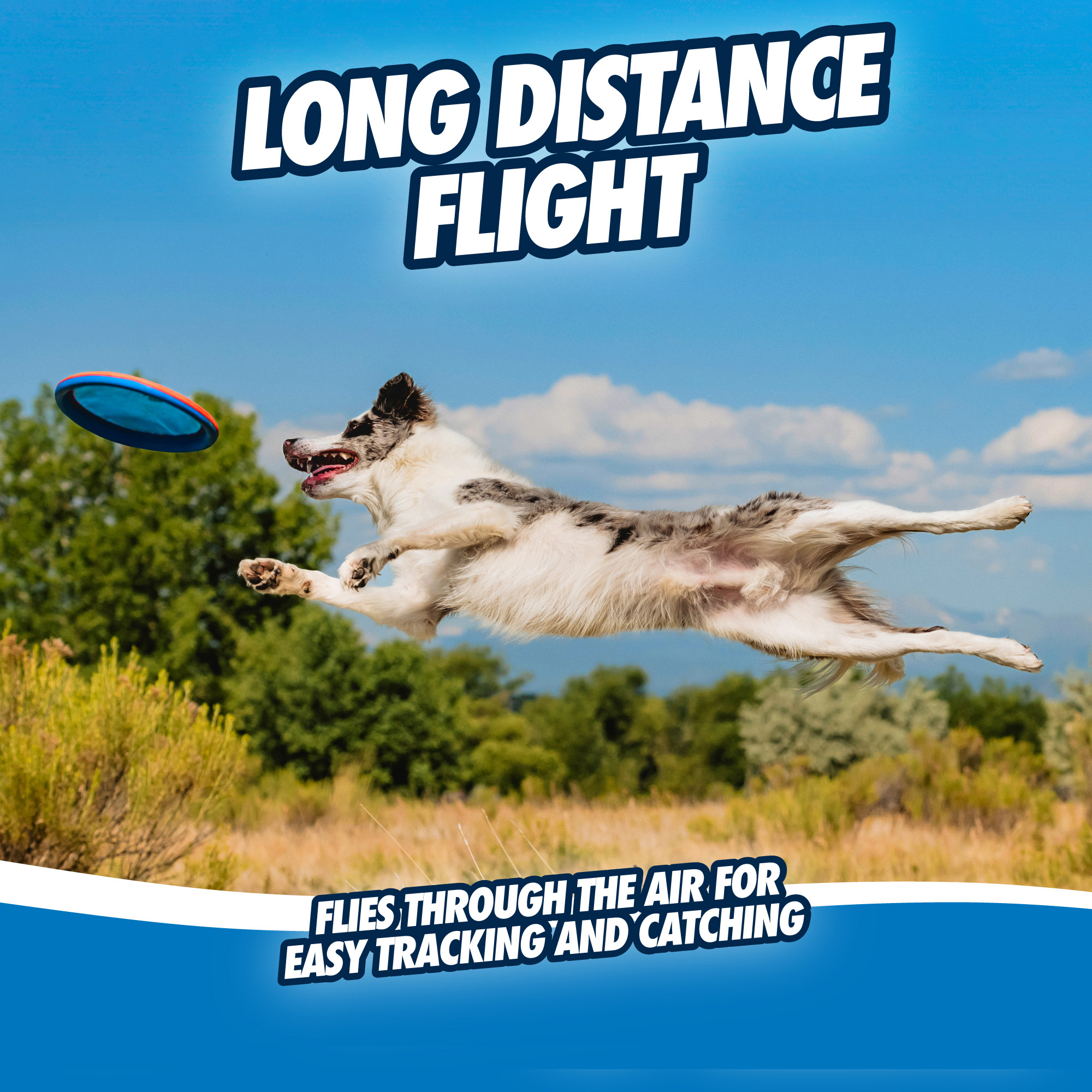 Chuckit! Paraflight L - Afbeelding 5