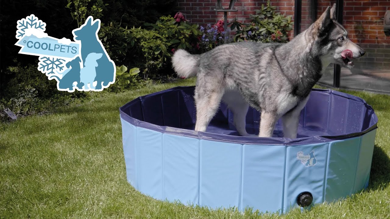 CoolPets Splash Dog Pool ø 80 x 20 cm - Afbeelding 2