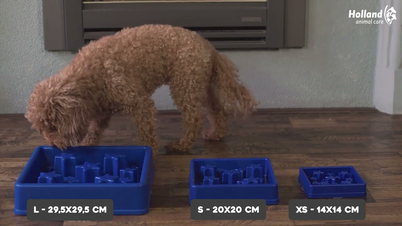 Eat Slow Live Longer Star Groen XS - Afbeelding 2