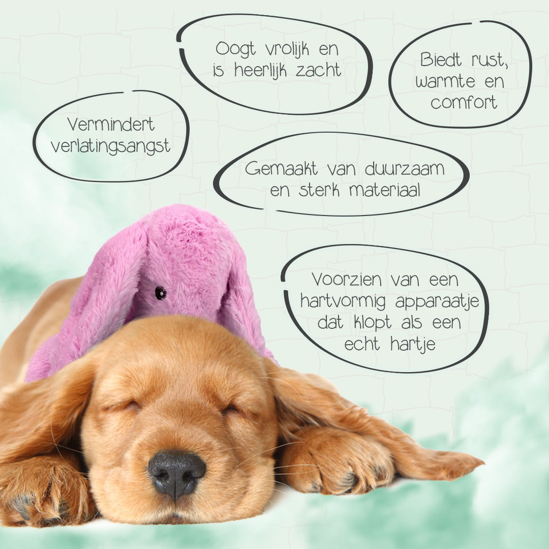 Deluxe Puppy Pakket - Afbeelding 14